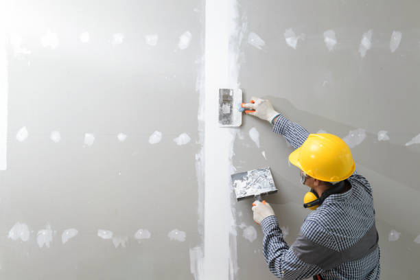 Trusted West Branch, IA Mold Removal Experts