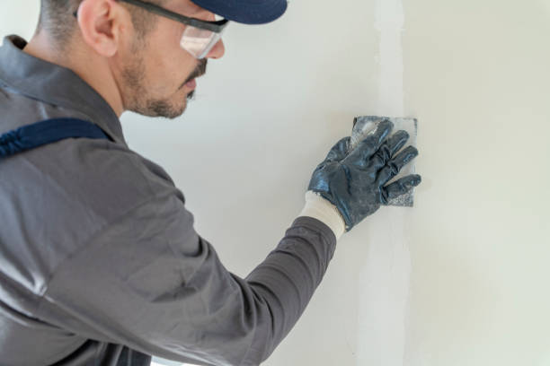 Best Mold Damage Restoration  in West Branch, IA