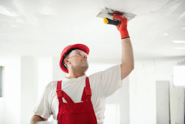 Best Environmental Consulting for Mold Prevention  in West Branch, IA