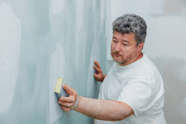 Best Attic Mold Removal  in West Branch, IA